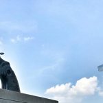 ✌️ 2 de octubre – Día Internacional de la No Violencia